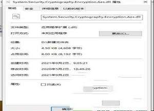 System.Security.Cryptography.Encryption.Aes.dll文件