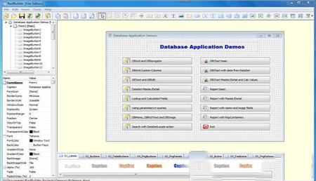 RadBuilder(RAD开发工具)