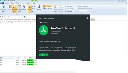 TreeSize Professional