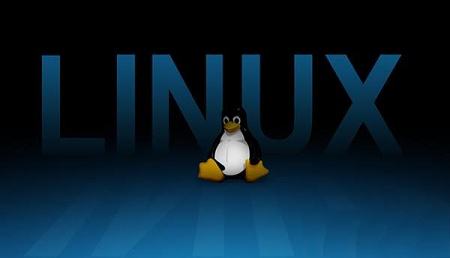 Linux Kernel