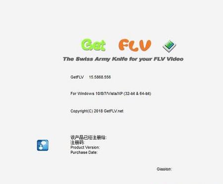 GetFLV破解版