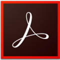 Adobe Acrobat Reader DC中文破解版v2019.012.20036