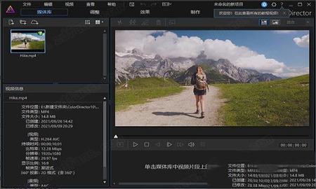 ColorDirector 10中文破解版