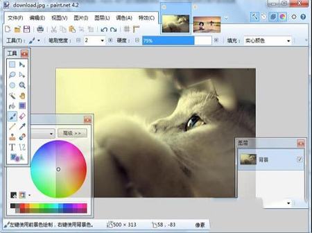 Paint.NET