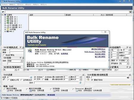 bulk rename utility破解版