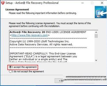 Active File Recovery(数据恢复工具)下载 v20.0.2破解版(附破解补丁)