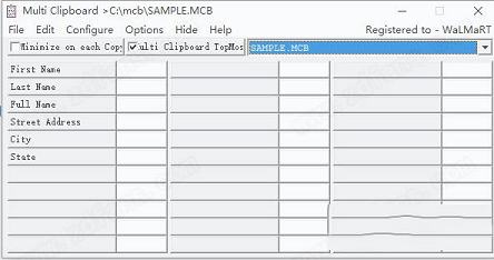 ElectraSoft Multi Clipboard 21中文破解版