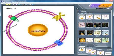 Pathway Builder Tool