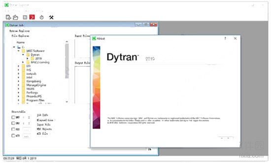 MSC Dytran