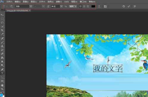 Adobe Photoshop CS6